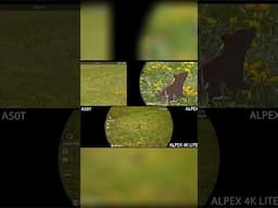 Alpex A50T: Comparing Original, Light & 4K Footage #alpex #hikmicro #footage #comparison #optics