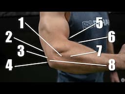 Why Your Elbow Hurts (And What To Do About It!)