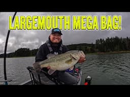 MY BIGGEST LARGEMOUTH BASS FROM OREGON! THIS LAKE IS INSANE!