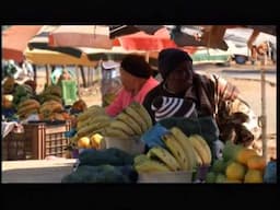 Living Land - Promo - September