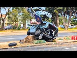 Idiots In Cars 325