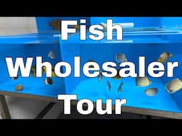Tour of Europe's Largest Fish Wholesaler Ft. ReefDork, AmyDoesSomeStuff and Many More