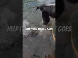 Ursa is trying to be helpful…