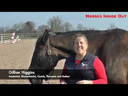 Improve Your Horses Suppleness with the Small Circle Exercise