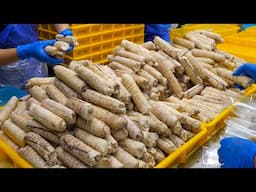 Fish Roe mass production factory! Delicious Fried Fish Roe Making - Taiwan Food 魚卵量產工廠! 美味炸魚卵製作