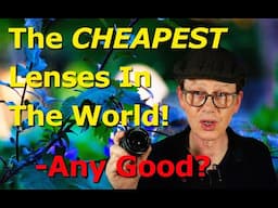 The CHEAPEST Vintage Lenses You Can Buy - Any Good?