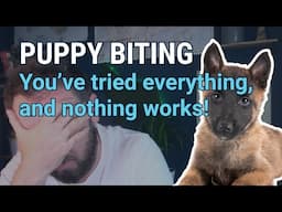 Puppy Biting: Why Nothing You've Tried to Stop the Biting Works