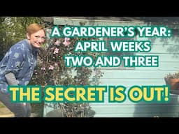 A GARDENER’S YEAR 2025: APRIL WEEKS TWO & THREE - EPISODE FOURTEEN - FILMING EVERY DAY OF THE YEAR!