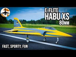 Horizon's Newest EDF Jet is Super Easy to Fly - E-flite Habu XS 80mm Review