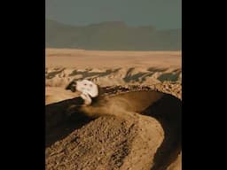 Vero Sandler's bar drag on the Santa Cruz Bullit