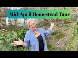 Mid April Homestead Tour