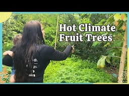 Nursery Farm Tour and More Hot Climate Fruit Trees