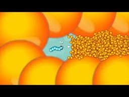 Snake.io Lovely Snake Pro Skill Epic Snake io Gameplay Ever!