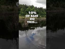 Are you even trying...#fishing #fishingvideo #flyfishing