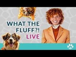 Animal Afterlife Secrets That Will Blow Your Mind! Let's Talk!
