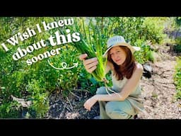5 Years Into Our Food Forest—What I Wish I Knew About Woodchips