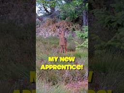 She Watched Me the WHOLE Time 🦌🤩 #shorts #babydeer #wildlifeencounters