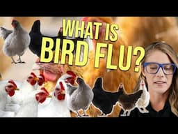 What is bird flu - really? || Dr. Tom Cowan