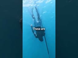 I found real life "Fish People" that live underwater...