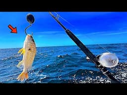 Dropped a LIVE! CROAKER 100' Deep for My Dinner! [Catch, Clean, Cook]