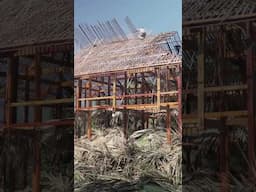 Why BAMBOO is the FUTURE of CONSTRUCTION? #architecture
