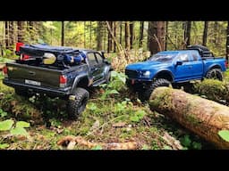 Не бери Toyota Tacoma! ... FORD куда лучше для бездорожья ... RC OFFroad 4x4