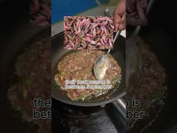 Bizarre Vietnamese dish? 🤯