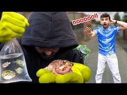 Someone STOLE My Baby Frogs & Pufferfish...