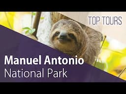 Manuel Antonio National Park Costa Rica | Best Beaches & Wildlife