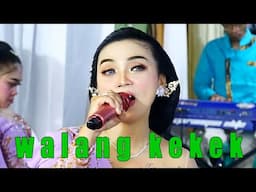 TAYUBAN WALANG KEKEK VOC. EVANI feat MBAH BOGEL CAMPURSARI MARGINING RAHAYU