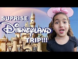 Surprise Disneyland Trip Vlog  Nura Afia