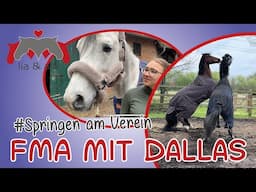 Lia & Alfi - FMA mit Dallas