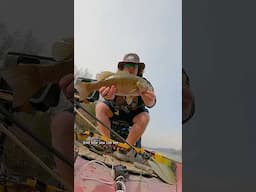 The World Record Smallmouth was Caught Here #fishing #shorts