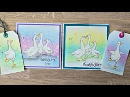 50% off and a free stamp at hobby art #hobbyart #cardmaking #blending