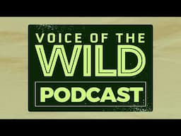 Voice of the Wild...on the Radio?