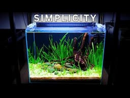 BEGINNER? HAVE NO TIME? This Easy Planted tank tutorial is FOR YOU!