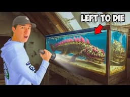 I Found an Abandoned Attic Full of Creepy Fish