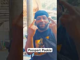 Life of a Passport Pookie