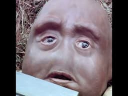Kokey (1997)