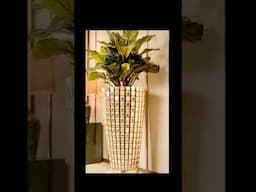"AMAZING DIY Cardboard Floor Planter 🌿 | Budget-Friendly Home Decor Idea!"#shorts