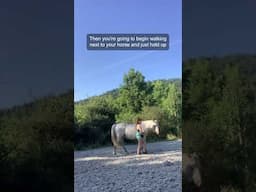 How to Teach your Horse to Bend