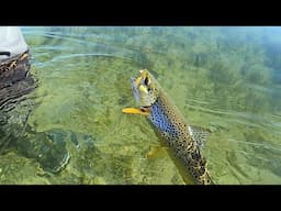 Gone Fishing!