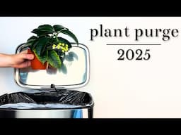 Throwing Out My Plants | Plant Purge 2025