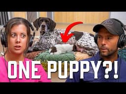 136: We Only Got ONE Puppy—Here’s What Happened!