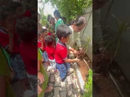 Environment Day celebration.  #activity’s #environment #preschoollearning #kids#learning