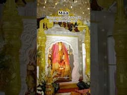 Shukrana Maiya Rani #Jaimatadi #matarani #matakichowki #mataranibhajan #shellykhatrilive