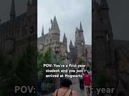 Have you seen the Hogwarts castle at Universal’s Island’s of Adventure? #harrypotter #universal