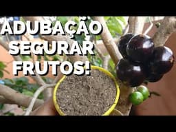 Adubação FÁCIL  E Rápida para SEGURAR FLORES E FRUTOS