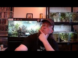 Sunday Sharpe: diggy holes