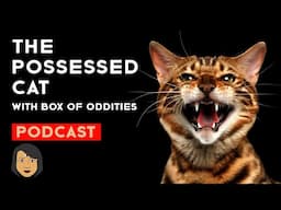 The Talking Cat, with Box of Oddities | True ghost story | Stories With Sapphire Podcast